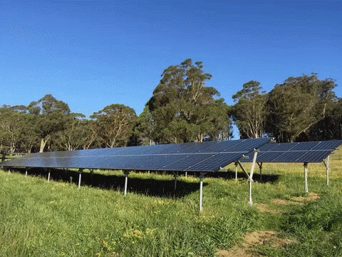 Envision for Renewable Energy, Business Intelligence and Analytics